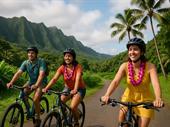 established tour operator paradise