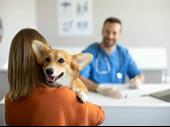 veterinary practice real estate
