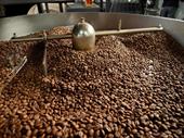 sunshine coast specialty coffee