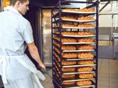 bread manufacturing wholesale opportunity