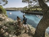 seo-rich mallorca content website