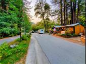 giant redwoods rv cabin