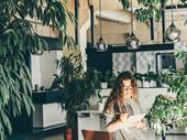 high-margin plant service business