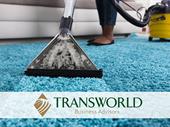 fully operational carpet cleaning