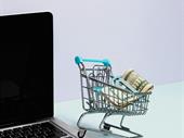ecommerce consultancy business for