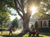 highly profitable tree service