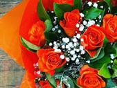 oakleighs iconic florist nursery