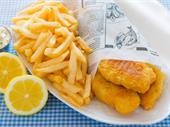profitable fish chips for