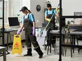 established cleaning business high-profit