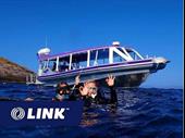 premium dive tourism business