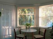 established profitable blinds business