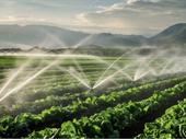 thriving irrigation pumps business