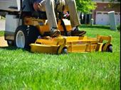 established residential landscaping business