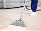 established carpet cleaning power