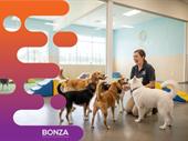 36626 profitable dog daycare