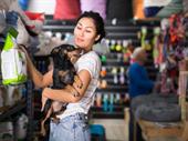 independent pet retail business