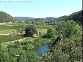 campsite la salvetat sur