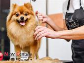 pet grooming gardenvale 1p10832