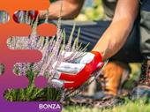 36659 established profitable gardening