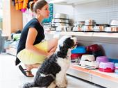 pet supplies business very