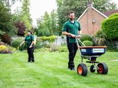 profitable greensleeves lawn care