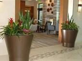 profitable interior plantscape business