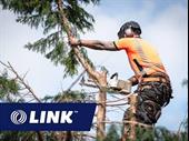 tree services strong cashflow