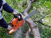 high-performing arborist business 1m