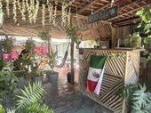established hostel mexico holbox