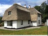 well established thatched roofing