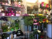beautifully presented florist business