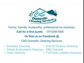 highly reputable domestic cleaning