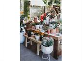 boutique plant garden nursery