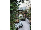 boutique plant giftware store