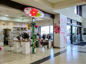 prime retail opportunity established