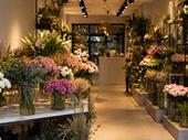 premium flower shop opportunity