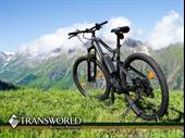 family owned electric bike