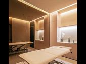 premium wellness business for