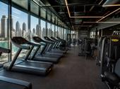 premium fitness equipment distributor