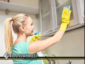 established cleaning business