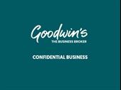 automotive merchandise e-commerce business