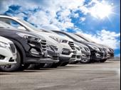 well established car dealership