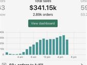 rare opportunity high-profitable e-commerce