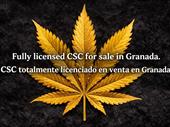 established csc granada