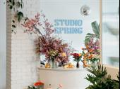 grow your own studio