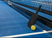 profitable turnkey indoor pickleball