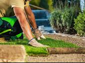 established commercial landscaping business