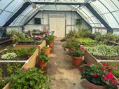 established retail garden center