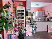pharmacy santibañez el alto