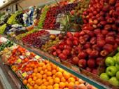 fruit veg no opposition